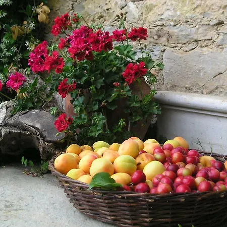 Πανσιόν Paradosiako Saratsi - Traditional 3*